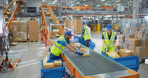 Conveyor Systems for Growing Warehouses: When Manual Transport No Longer Scales